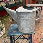 Vintage Savory Watering Can