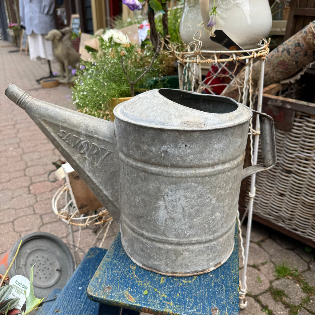 Vintage Savory Watering Can