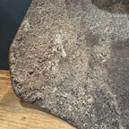 Antique Wood-Backed Grain Scoop