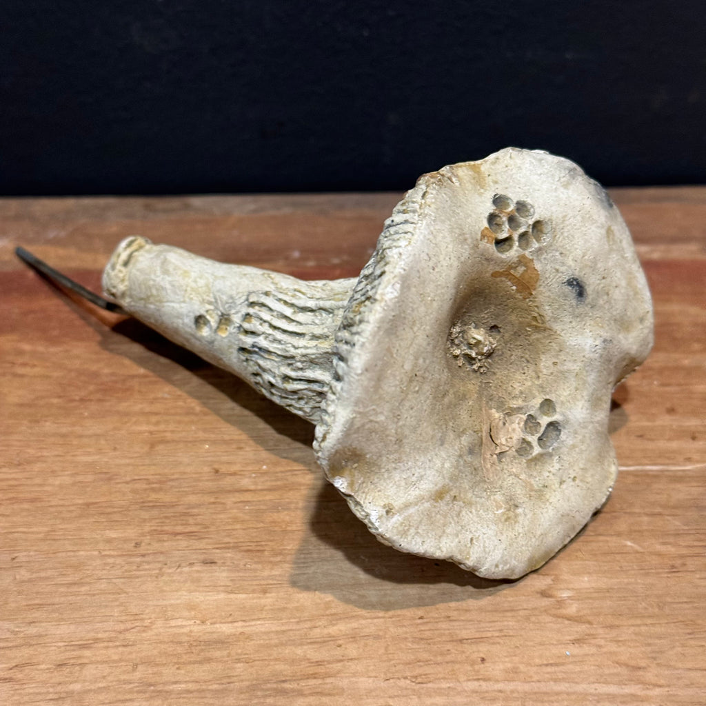 Mushroom w/Stake