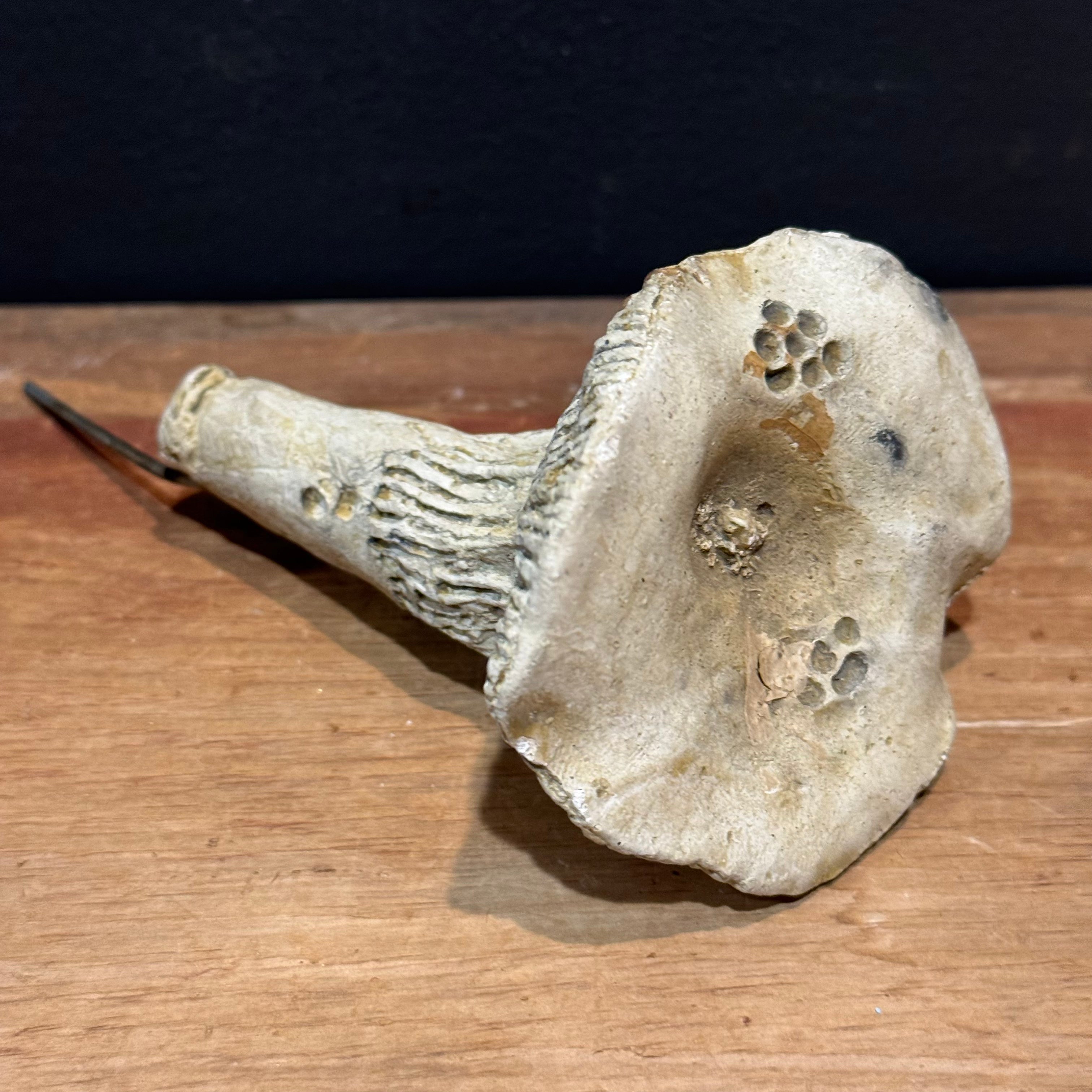 Mushroom w/Stake