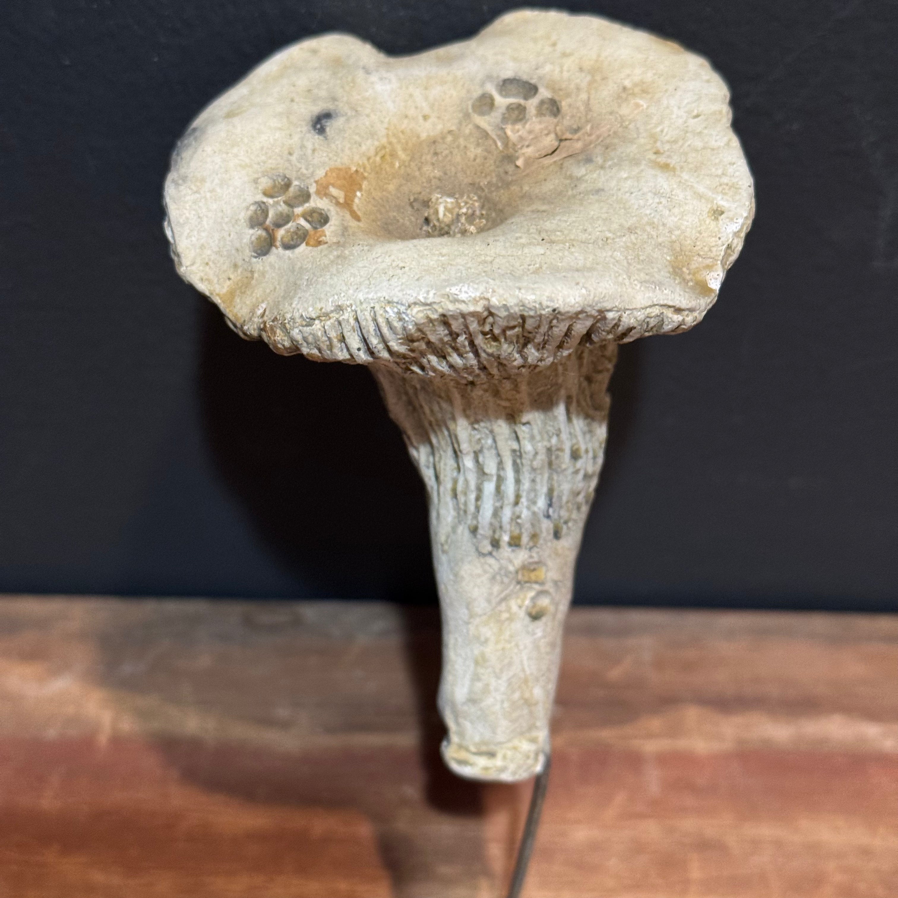Mushroom w/Stake