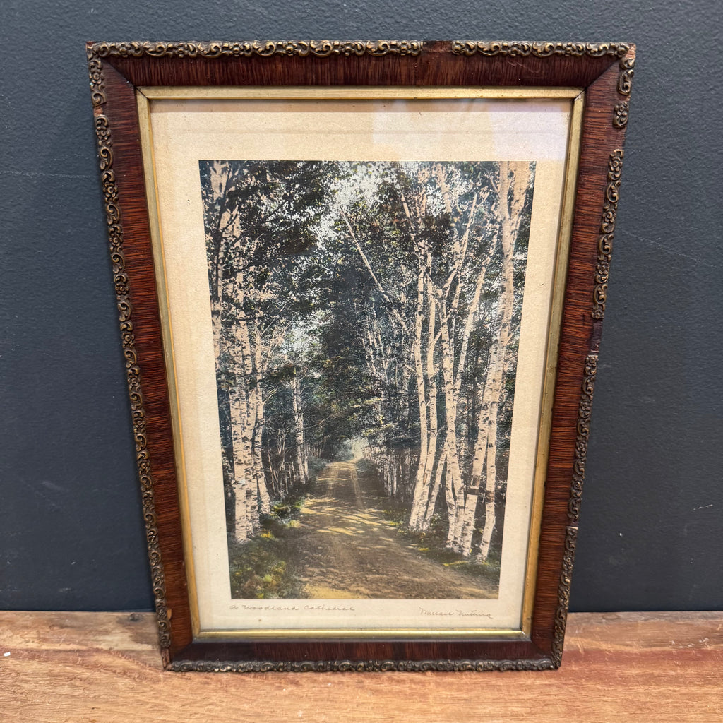Wallace Nutting "A Woodland Cathedral" Hand-Colored Photograph