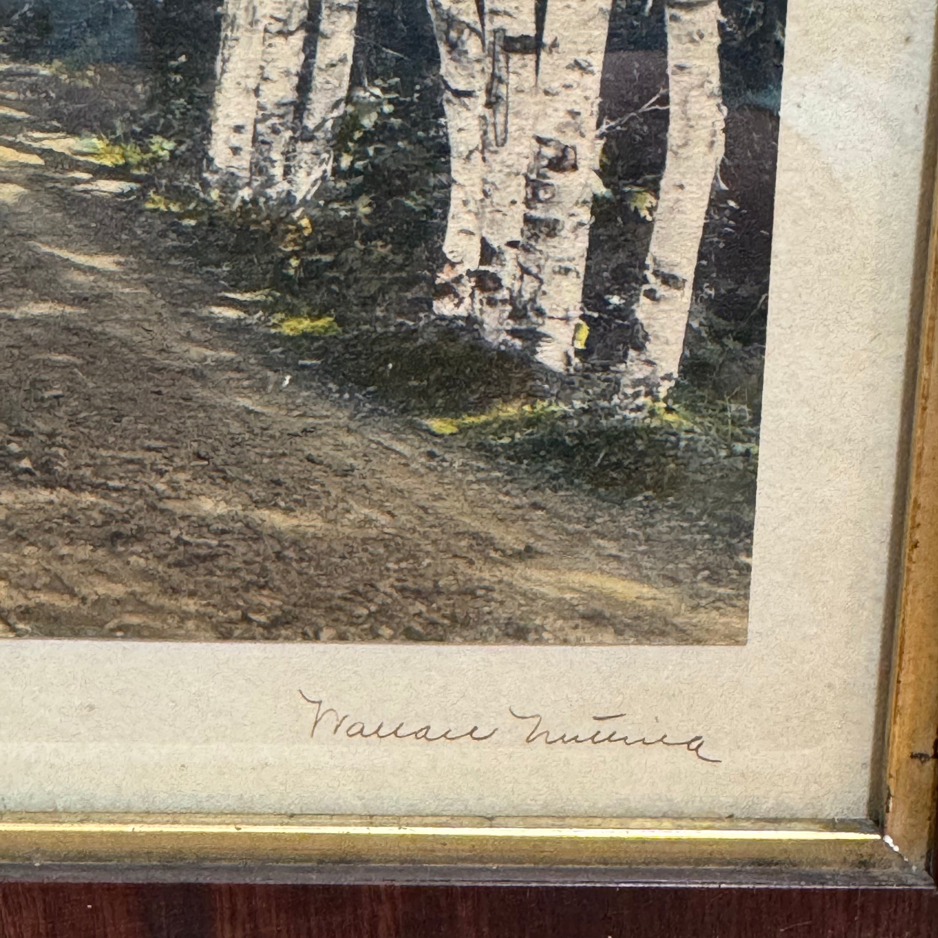 Wallace Nutting "A Woodland Cathedral" Hand-Colored Photograph