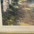 Wallace Nutting "A Woodland Cathedral" Hand-Colored Photograph