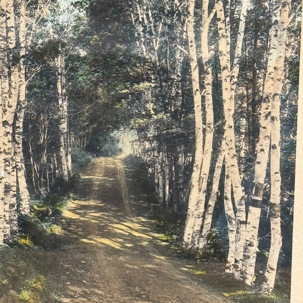Wallace Nutting "A Woodland Cathedral" Hand-Colored Photograph