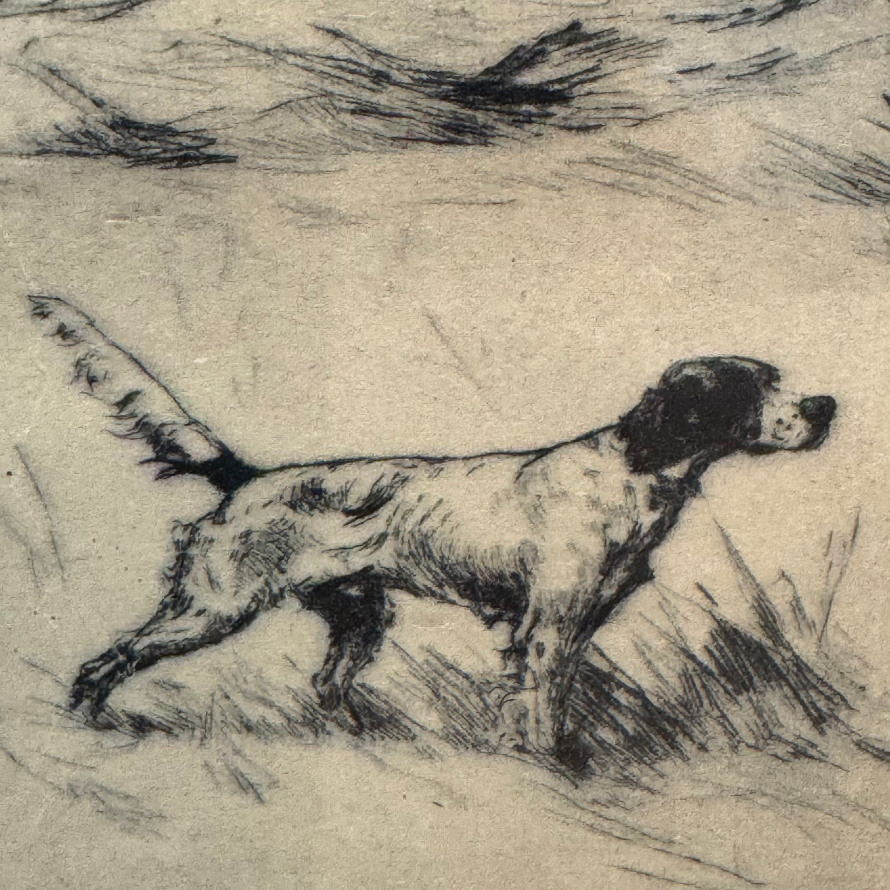Sporting Hunt Scene with Setters