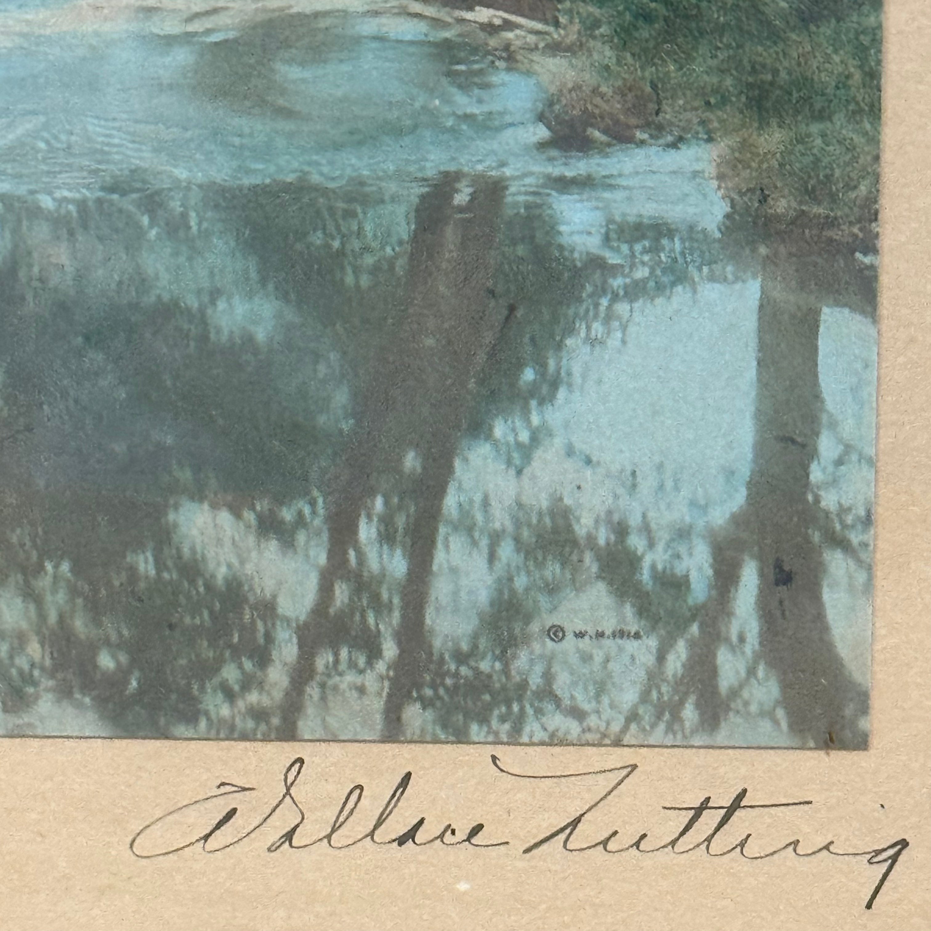 Wallace Nutting "Woodland Stream"