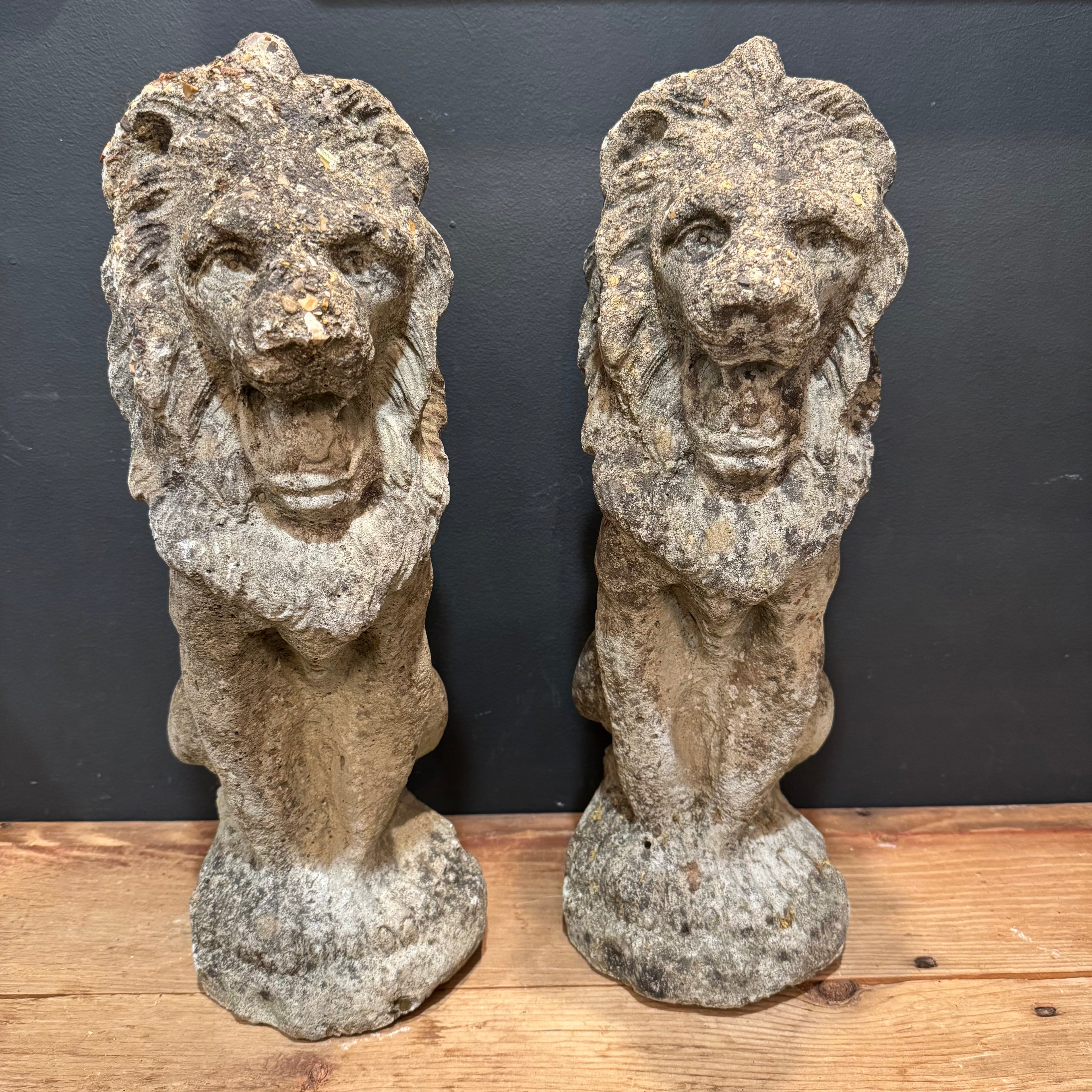 Pair of Garden Lion Statues