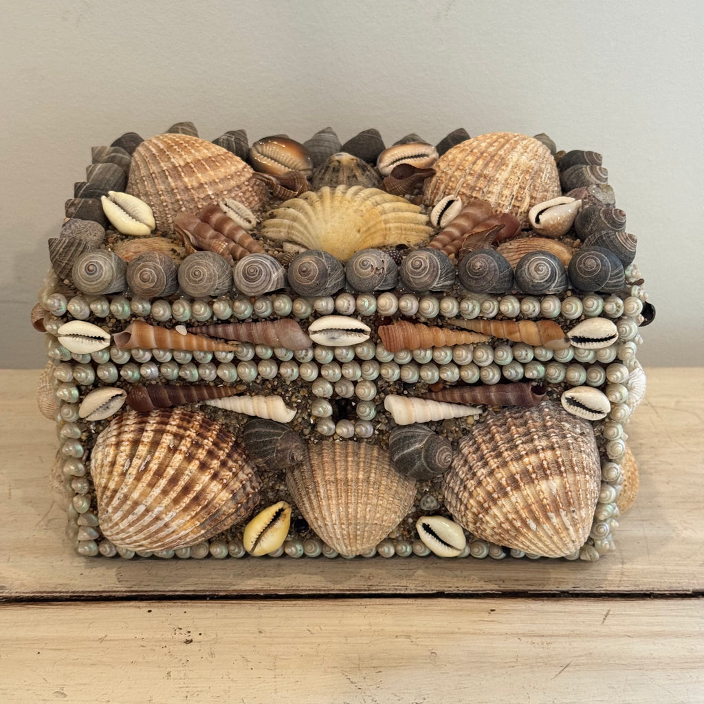 Handmade Seashell Trinket Box