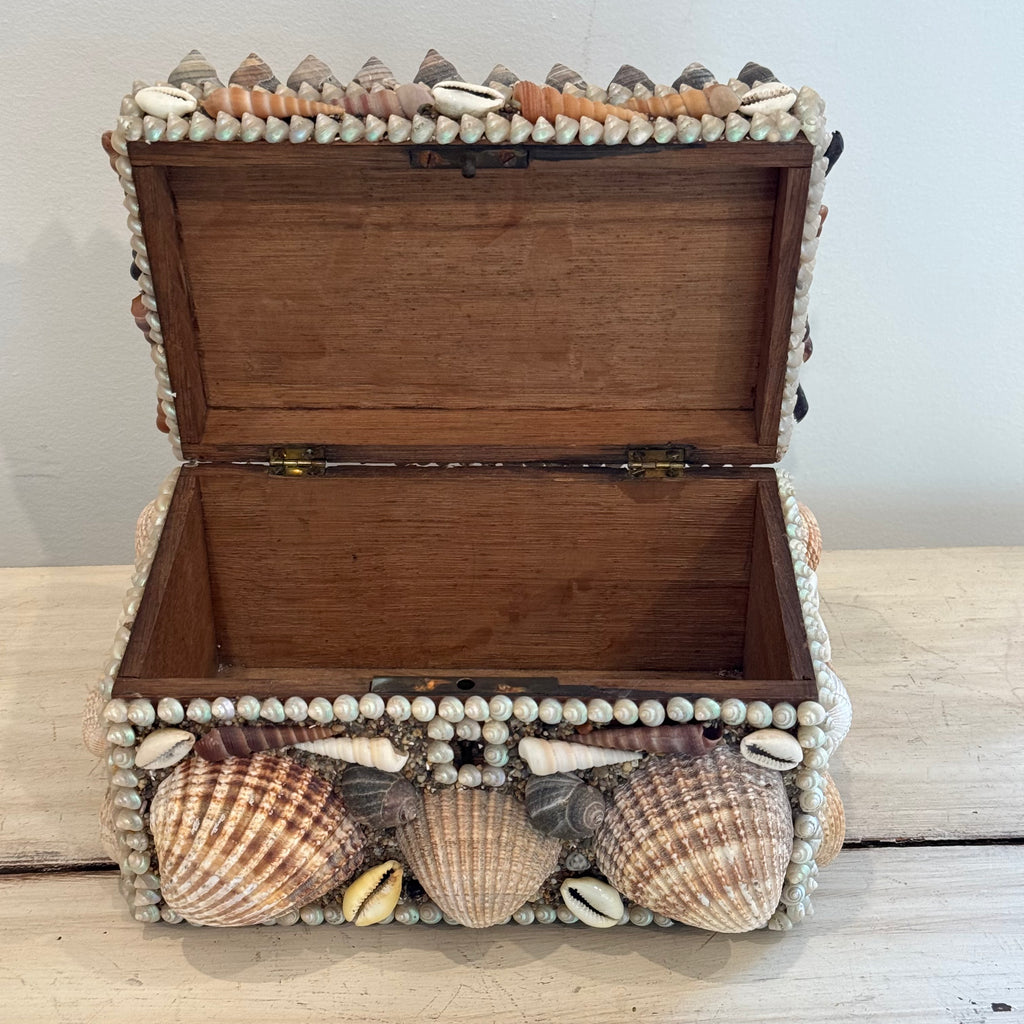 Handmade Seashell Trinket Box