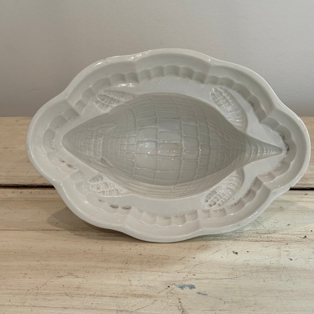 Vintage Shelley England Armadillo Jelly Mold