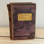 Thorns in the Flesh (1884) by N. J. Floyd
