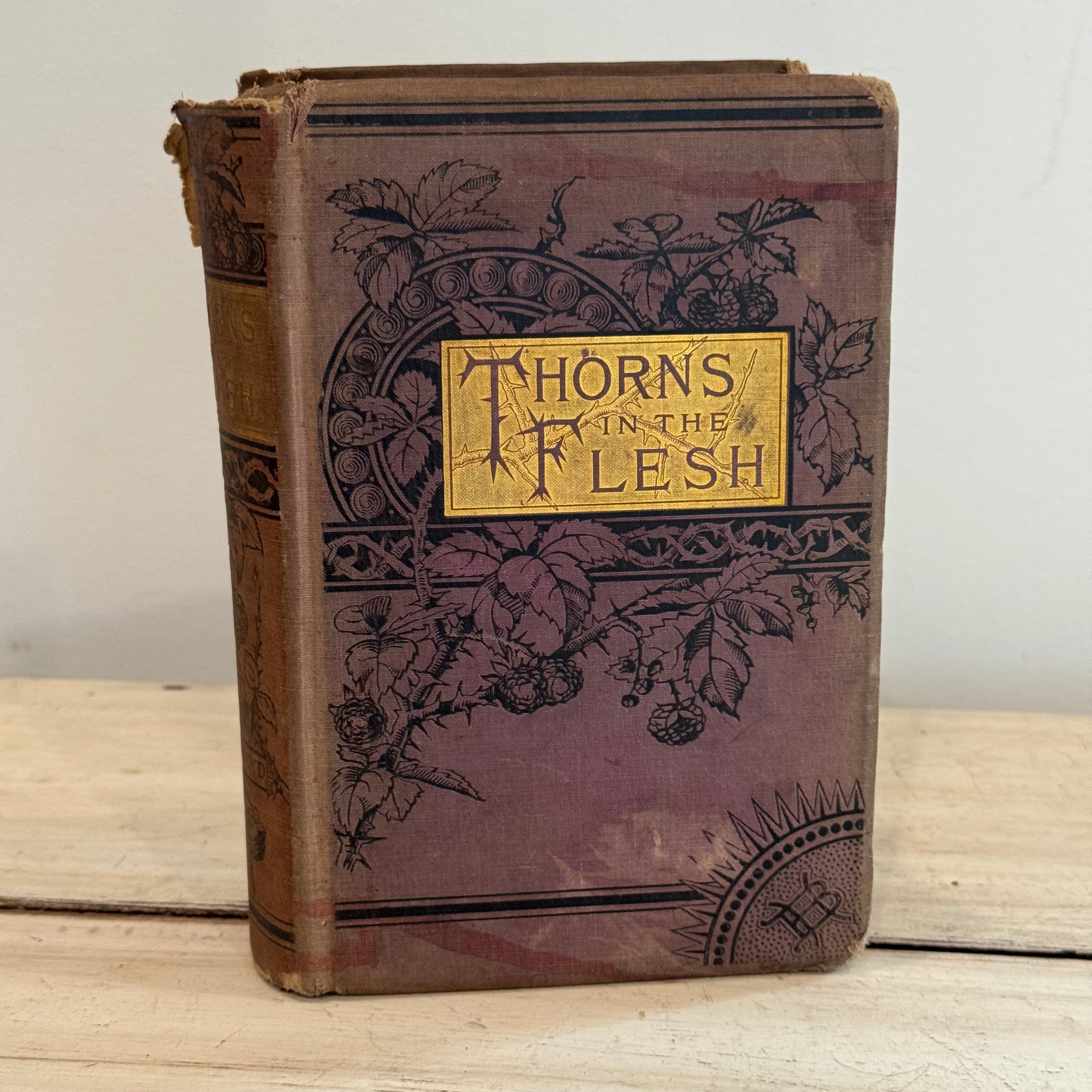 Thorns in the Flesh (1884) by N. J. Floyd