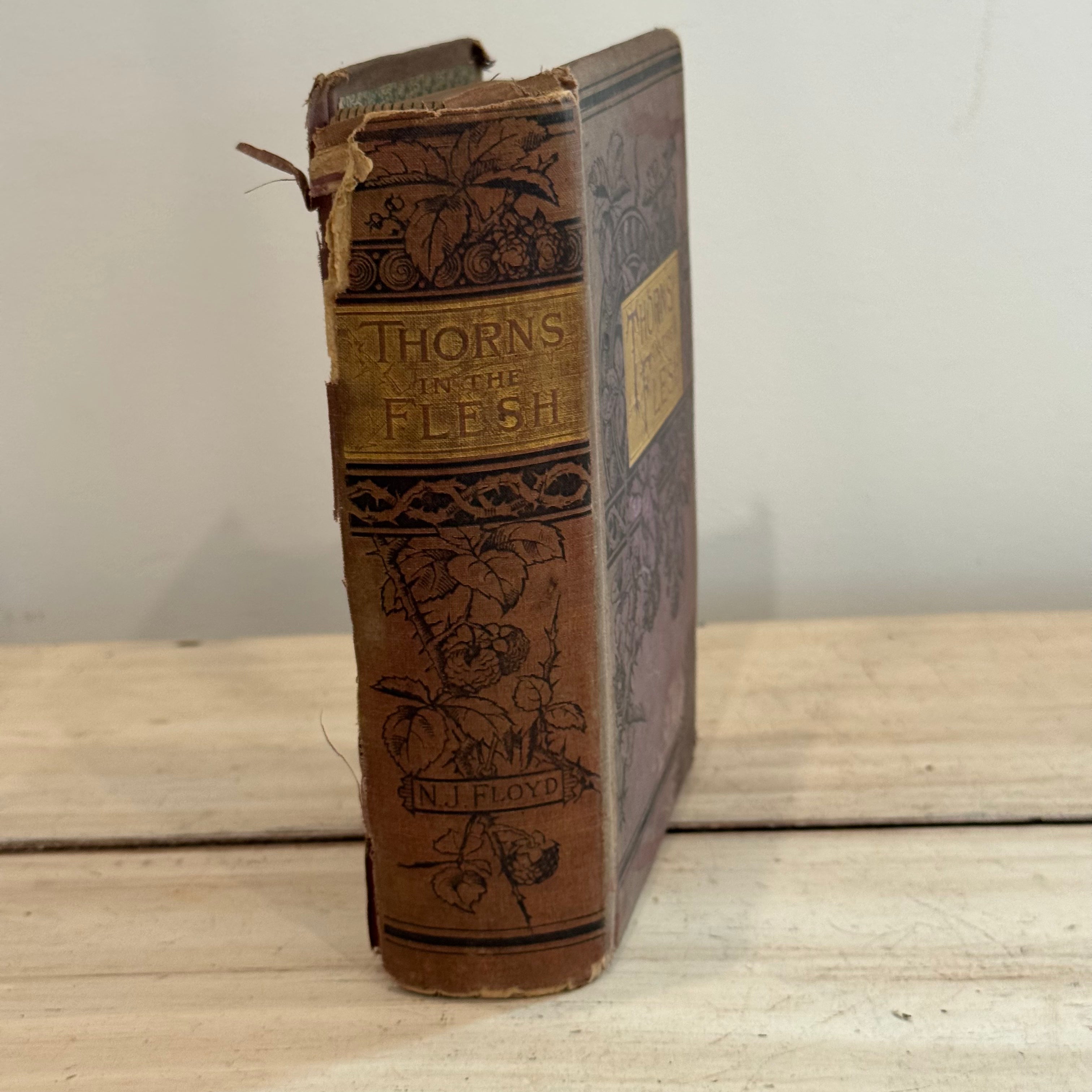 Thorns in the Flesh (1884) by N. J. Floyd