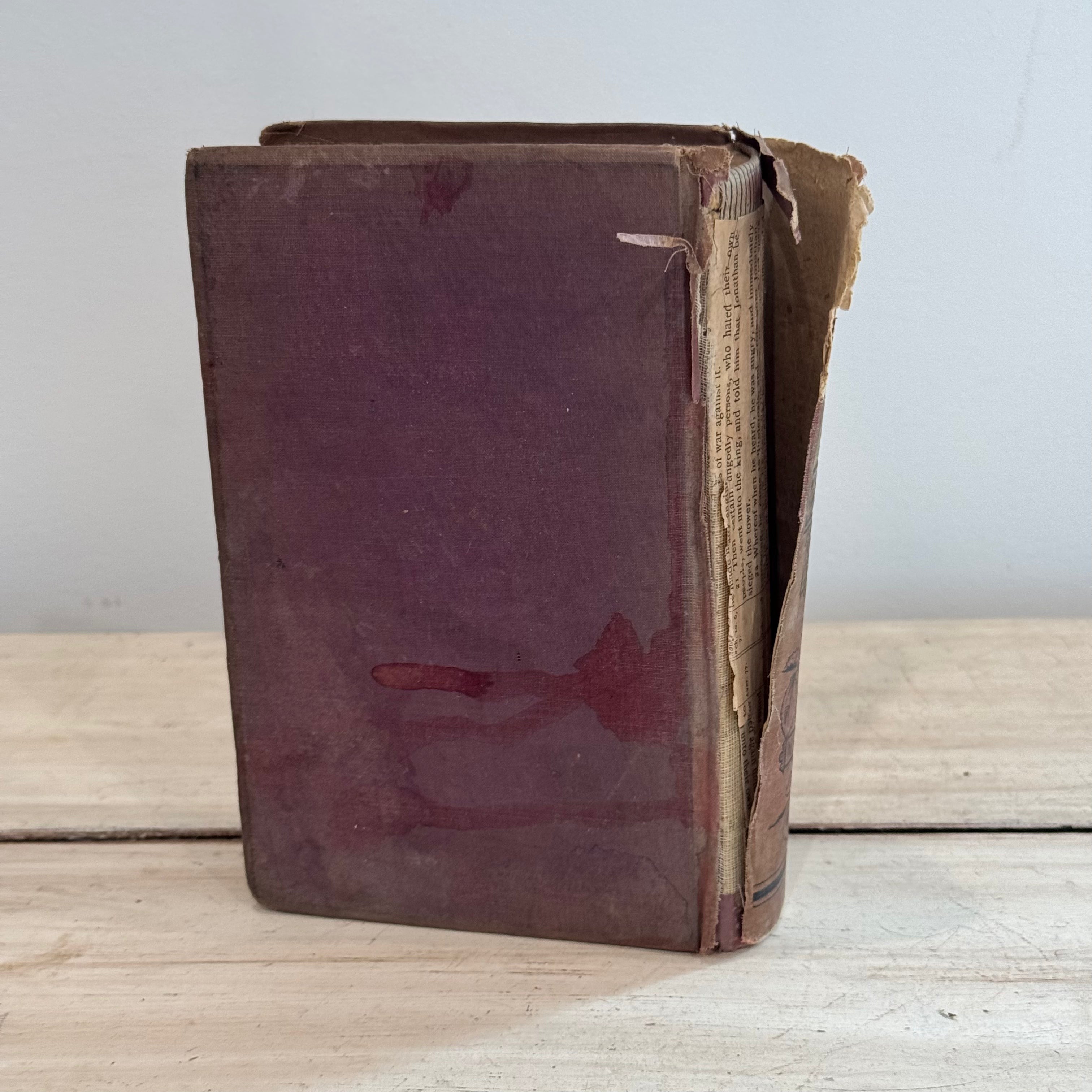Thorns in the Flesh (1884) by N. J. Floyd