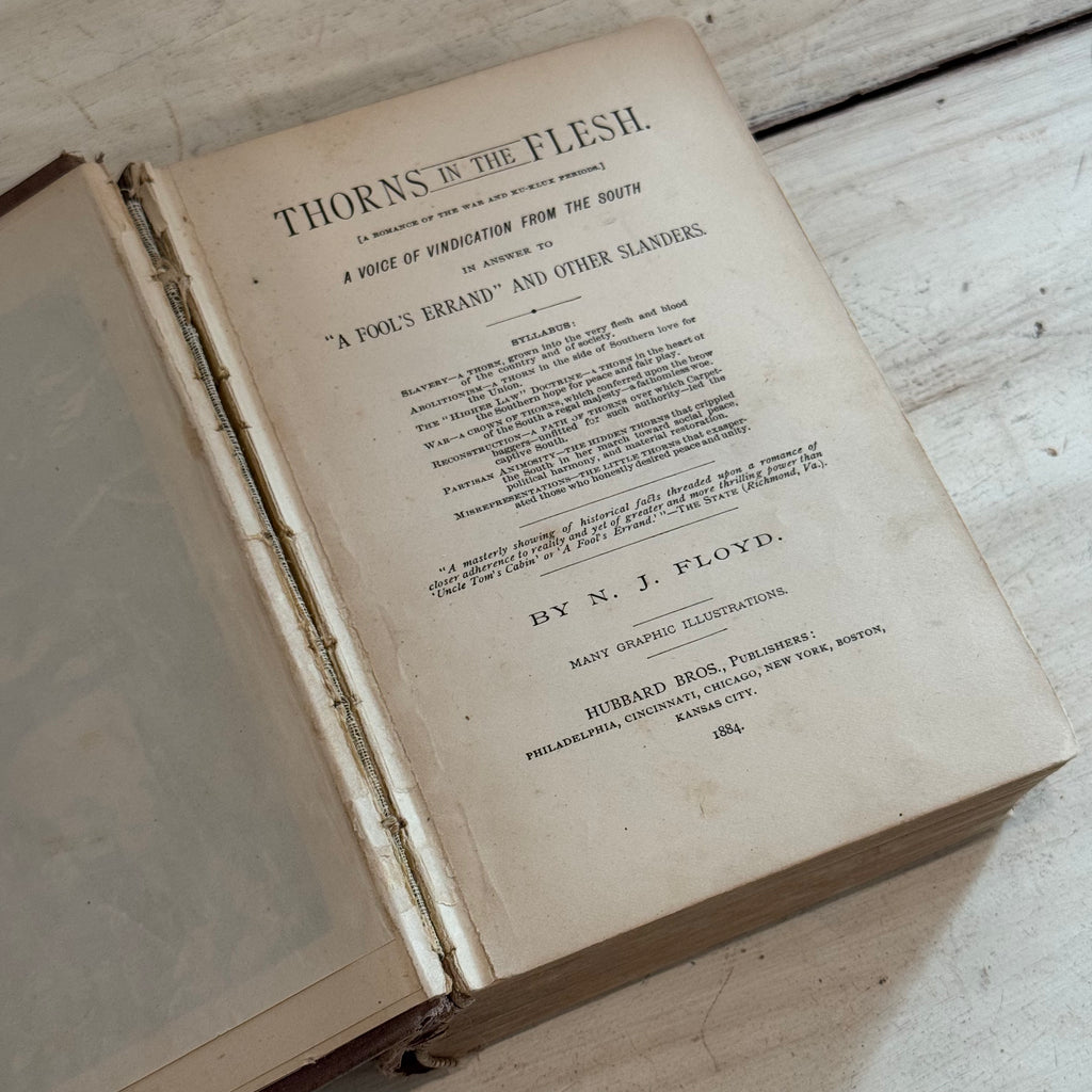 Thorns in the Flesh (1884) by N. J. Floyd