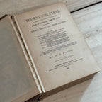 Thorns in the Flesh (1884) by N. J. Floyd