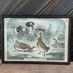 Grouse Shooting Engraving