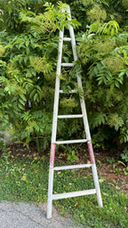 Antique French Orchard Ladder | Beautiful Weathered Patina
