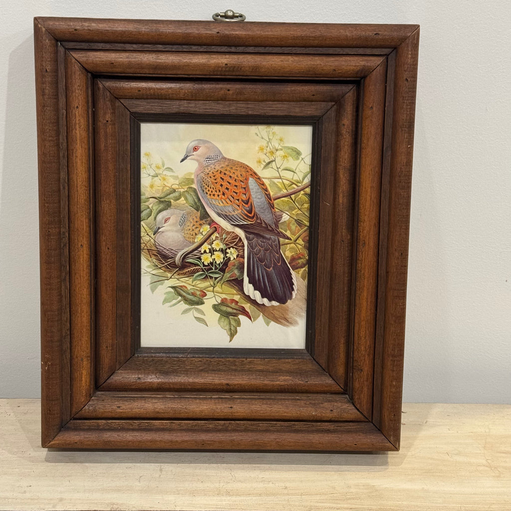 Turtle Doves Framed