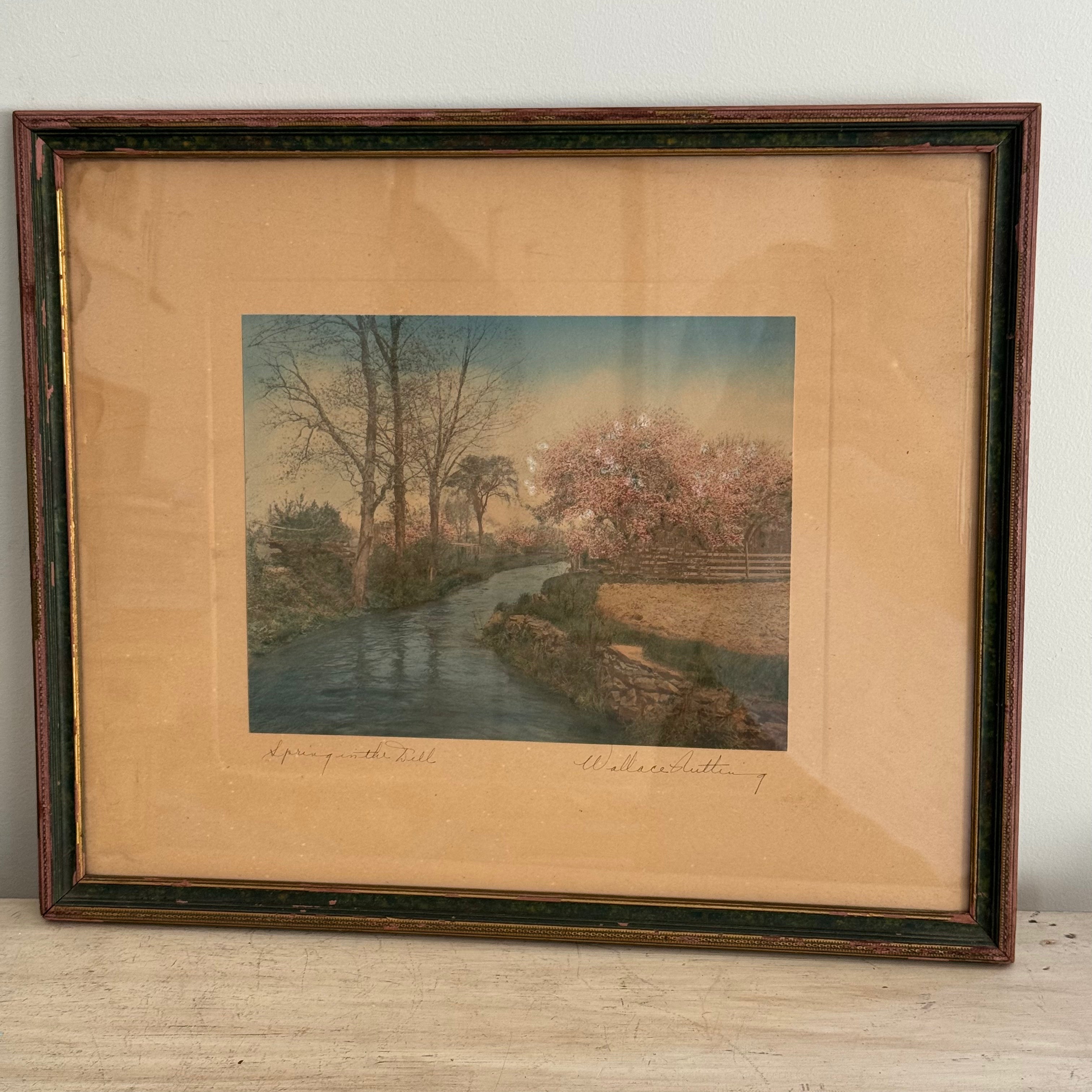 Wallace Nutting “Spring in the Dell”