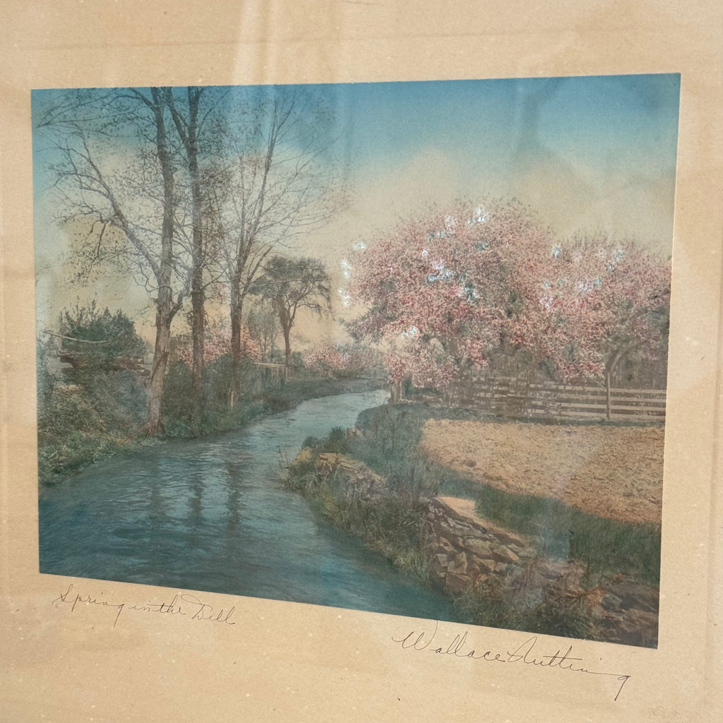 Wallace Nutting “Spring in the Dell”