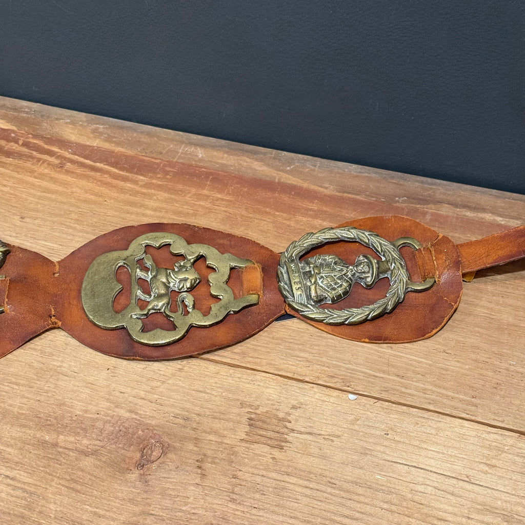 Brown Leather Medallion Strap