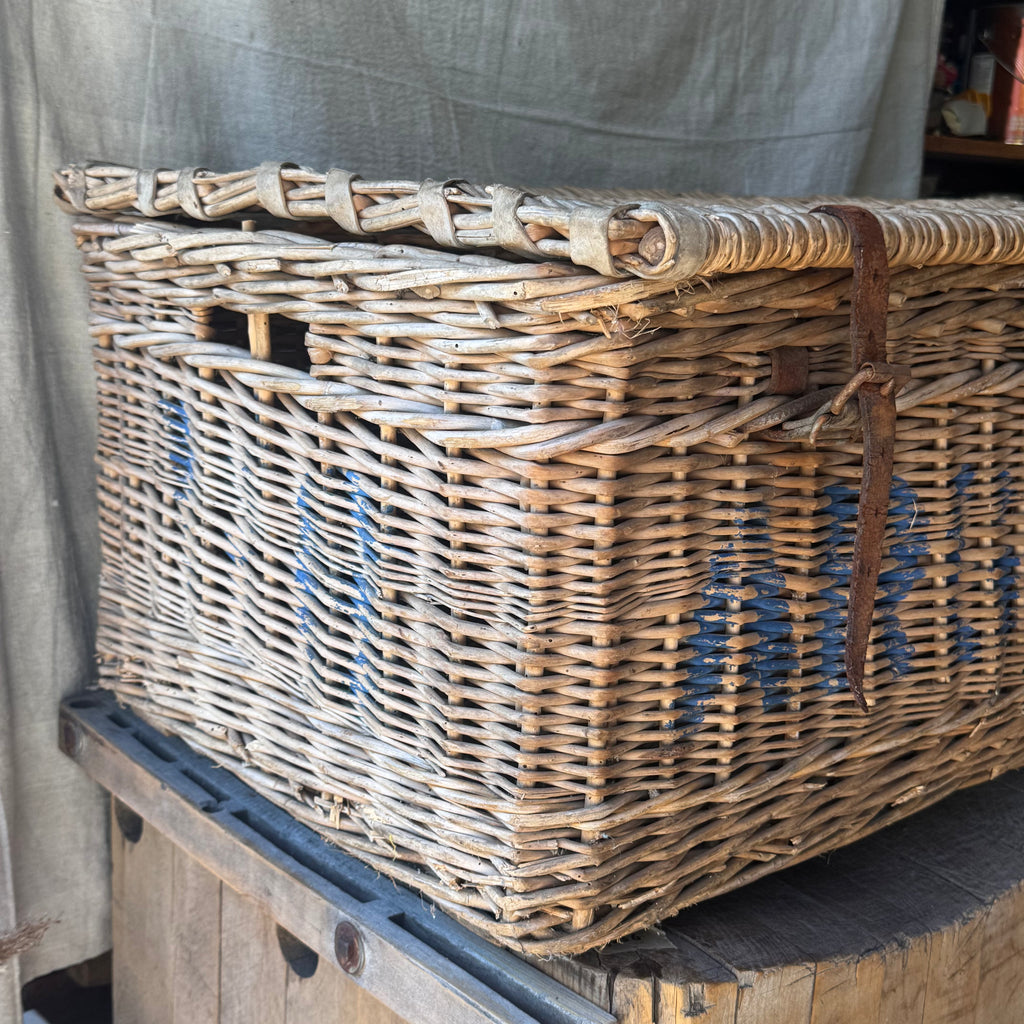 English Laundry Trunk