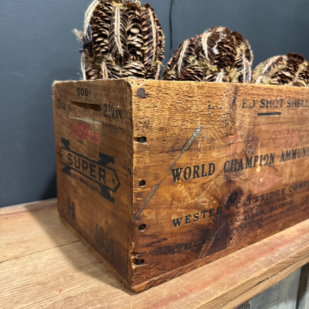 World Champion Ammunition Crate