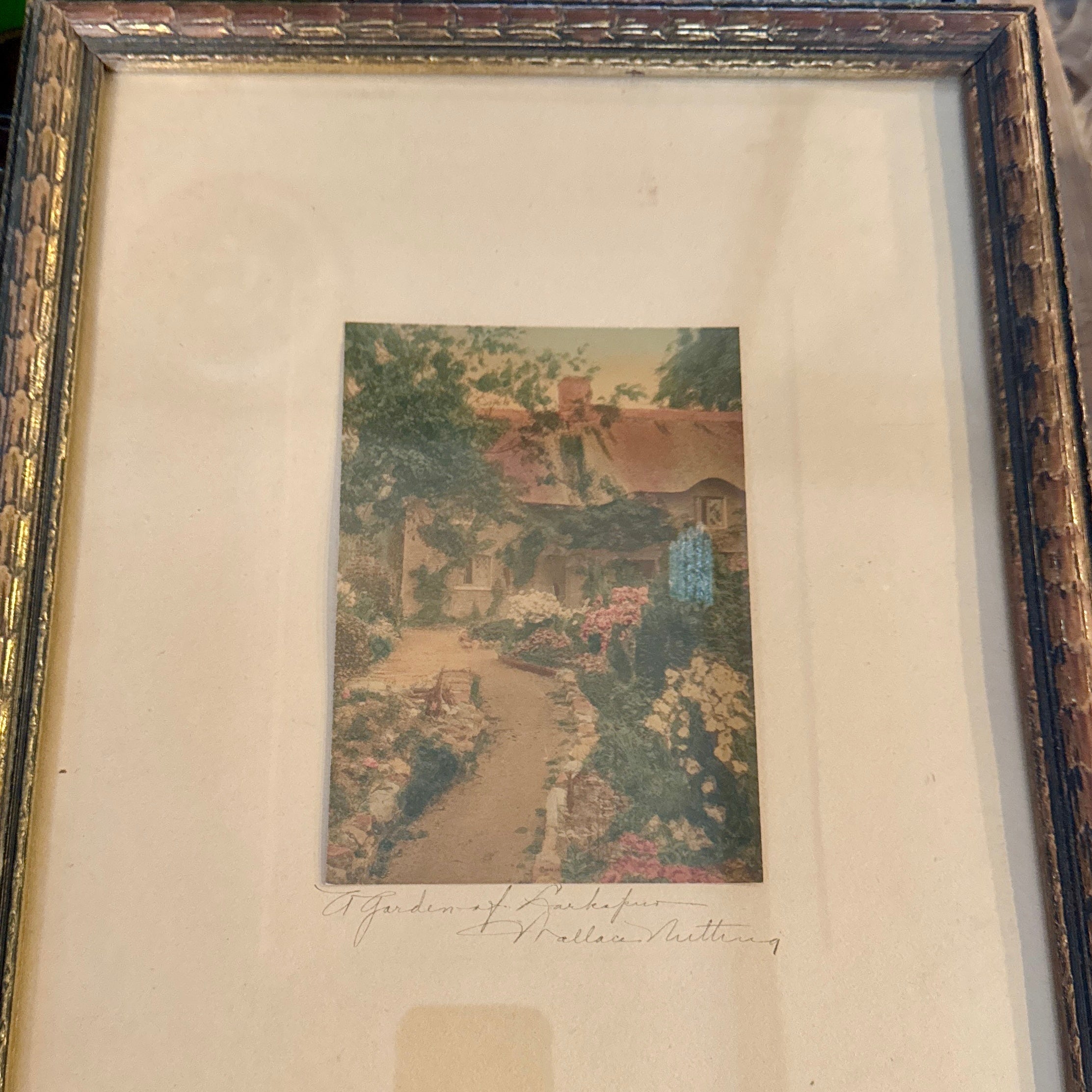 "A Garden of Larkspur" Wallace Nutting