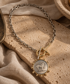 Mixed Metal Industrial Toggle Horse Coin Necklace