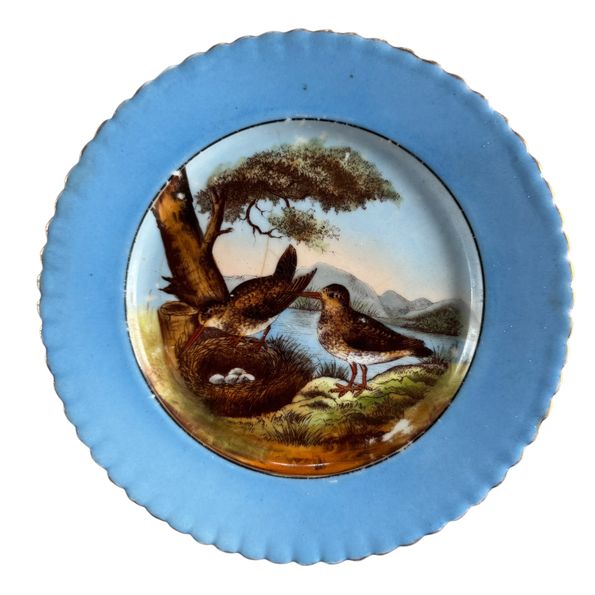 Bird Plate by Victoria Carlsbad