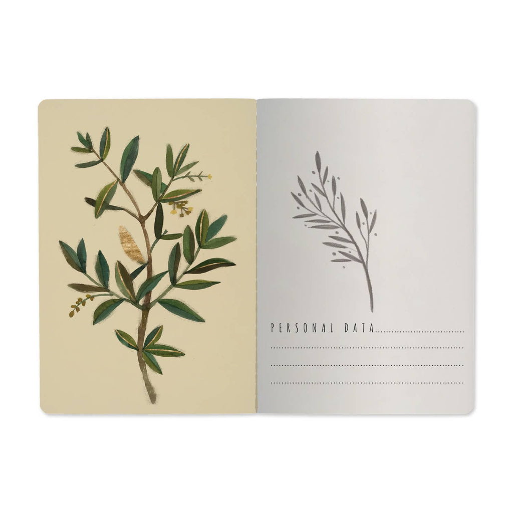 Olive Tree Notebook