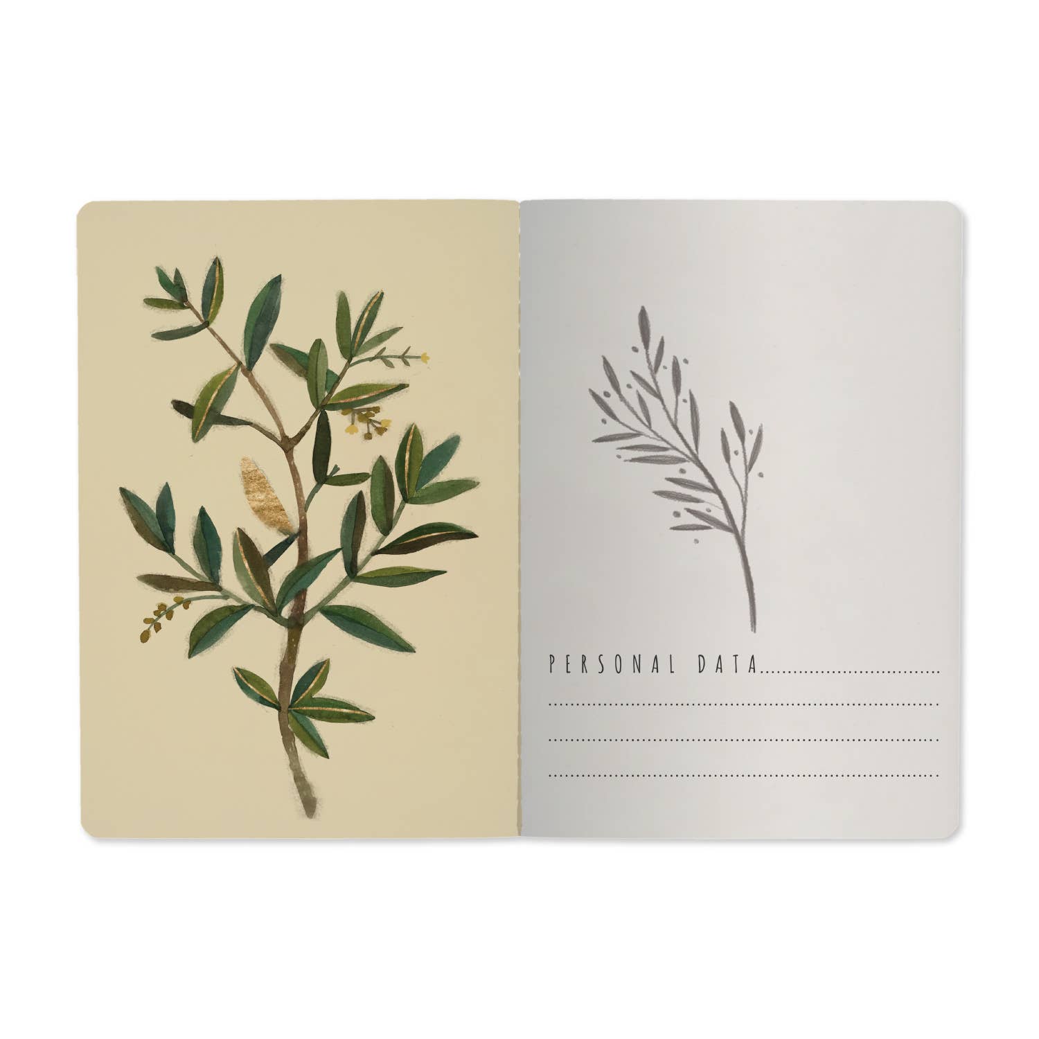 Olive Tree Notebook