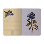 A5 Notebook - Wild Blueberry