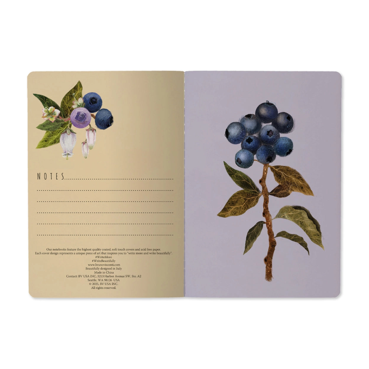 A5 Notebook - Wild Blueberry
