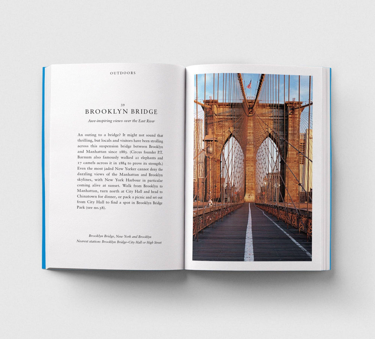 An Opinionated Guide to New York