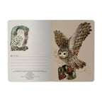 A6 Notebook - Owls