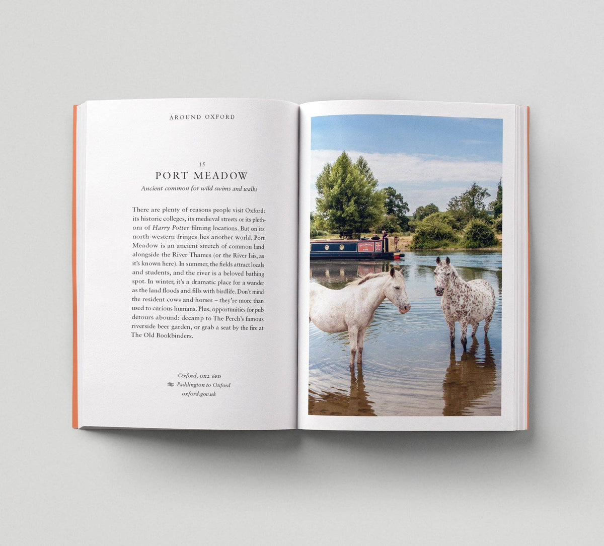 An Opinionated Guide: Escape London