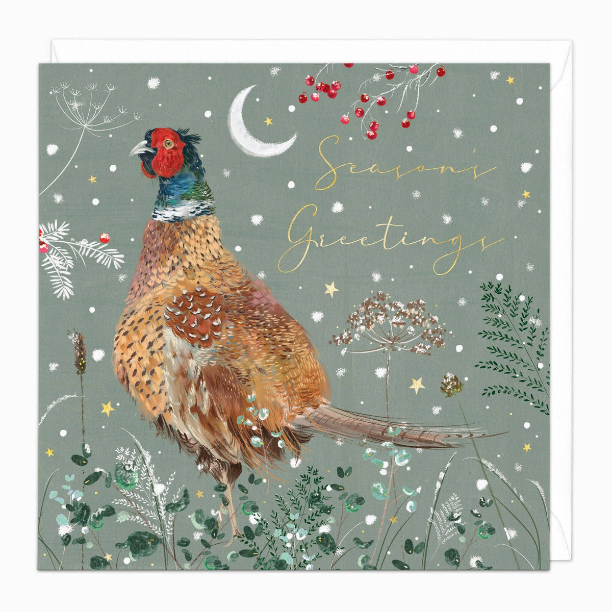 Pheasant & Berries Christmas Card