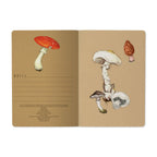 Mushrooms on White Notebook