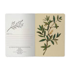 Olive Tree Notebook