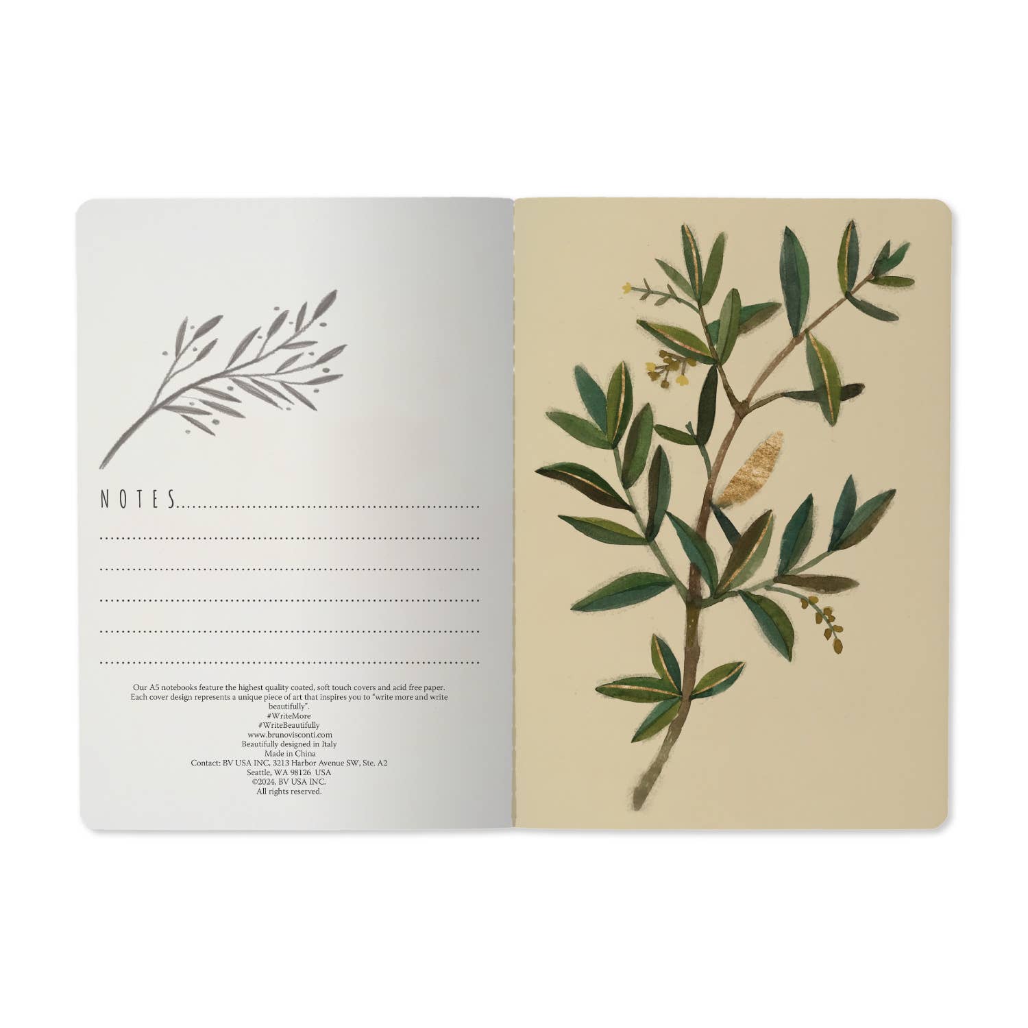 Olive Tree Notebook