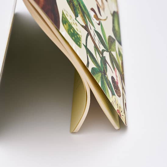 Baobab Tree Notebook