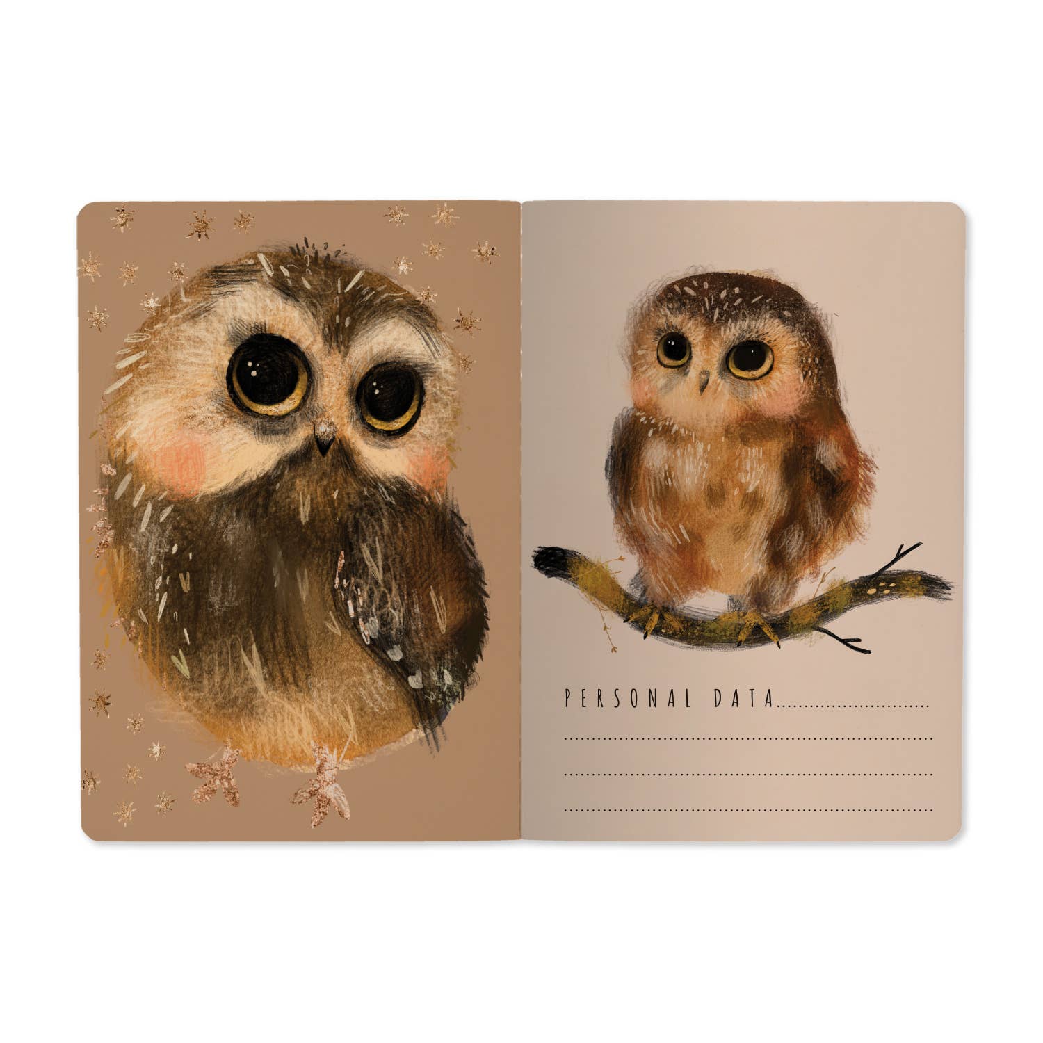 A5 Notebook - Baby Owls