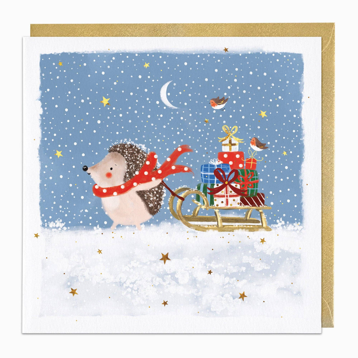 Hedgehog Sleigh Christmas Card