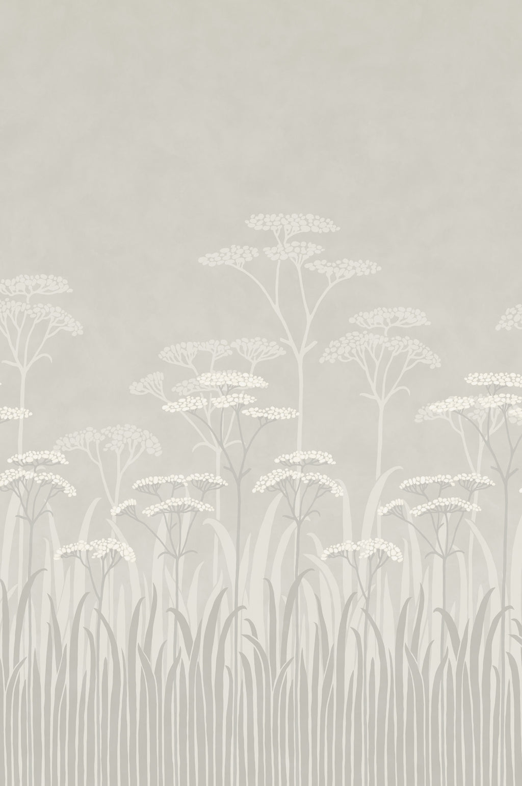 Achillea Wallpaper