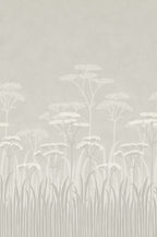 Achillea Wallpaper