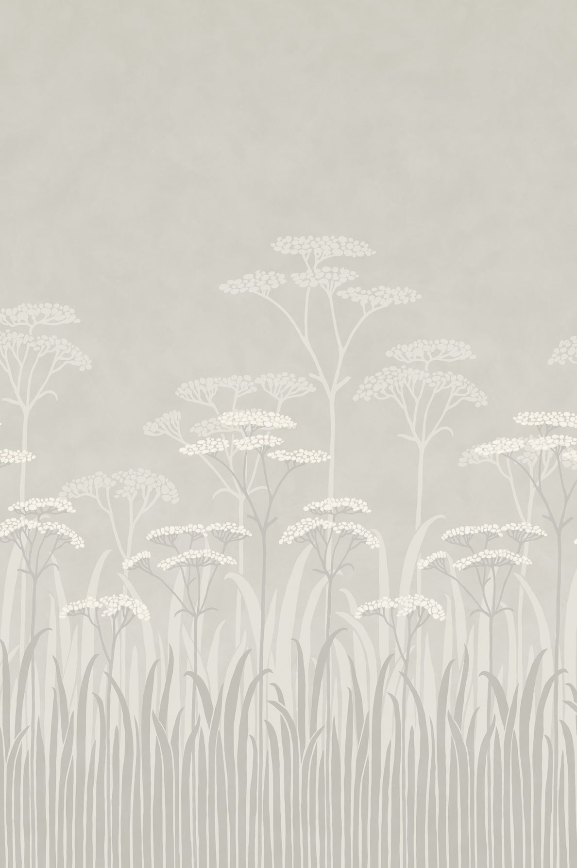 Achillea Wallpaper